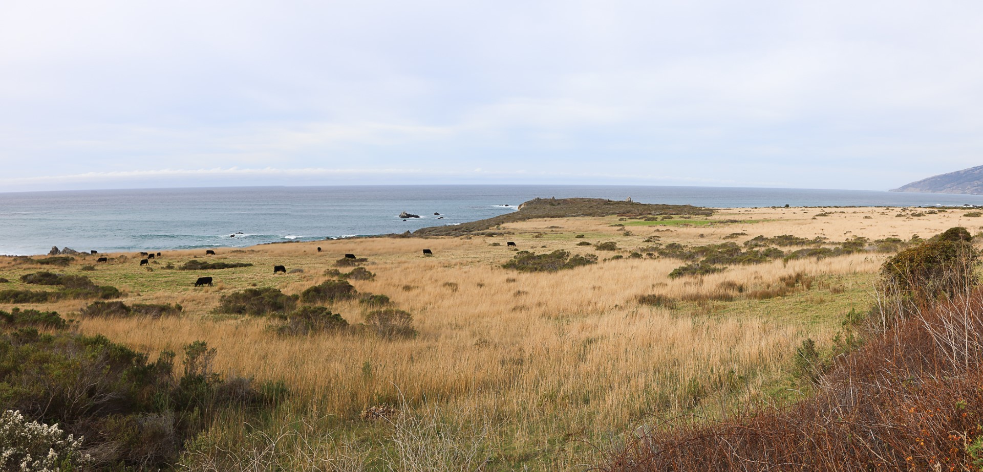 Big Creek State Marine Reserve
